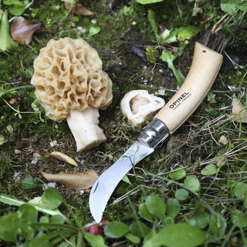 Opinel No.8 Folding Mushroom Knife Gift Box-5